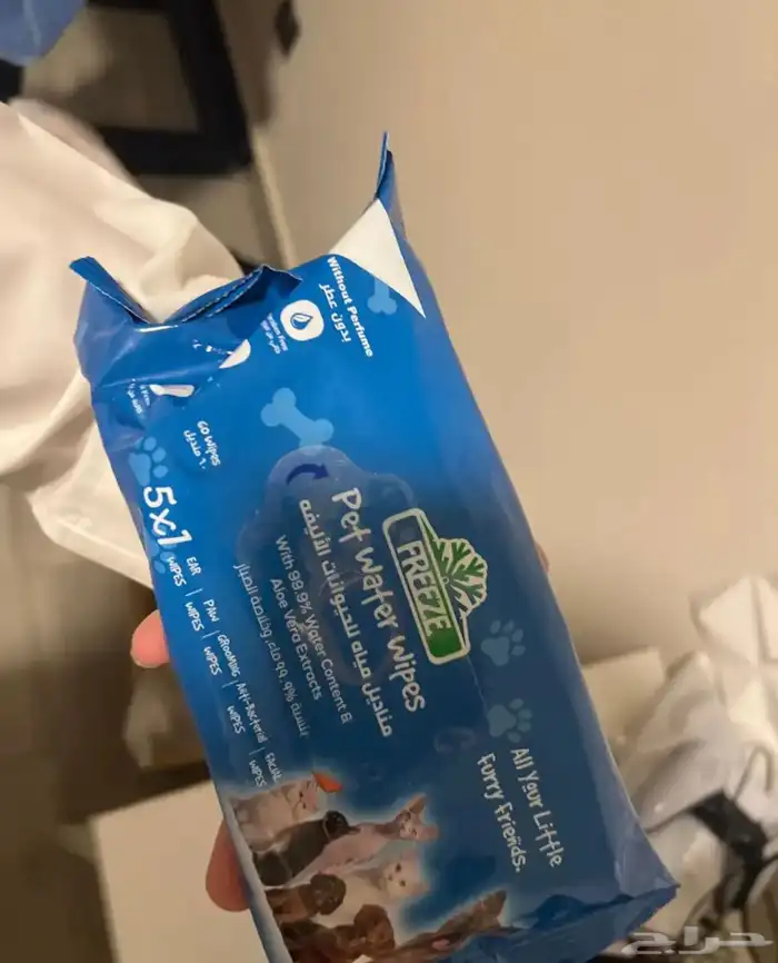 قفص. قطط كبير 6