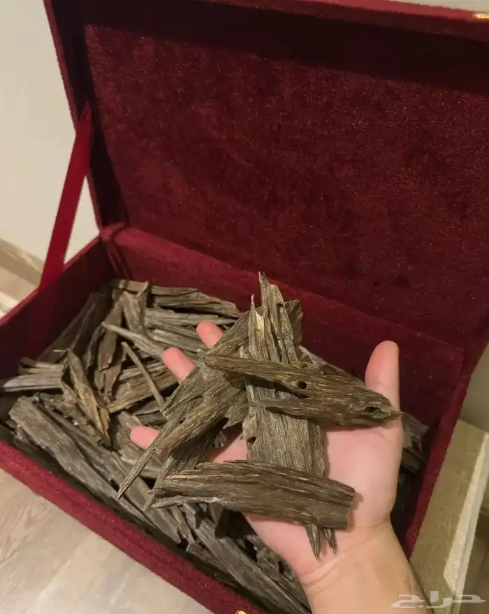 عود طبيعي نجلاند بالجملة 1