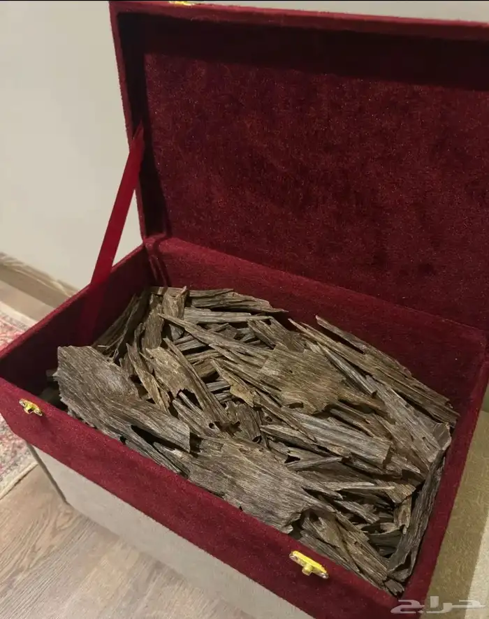 عود طبيعي نجلاند بالجملة 0