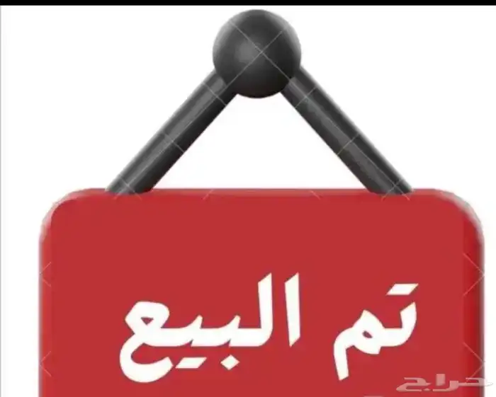 بقرتين بلدي تم البيع 0