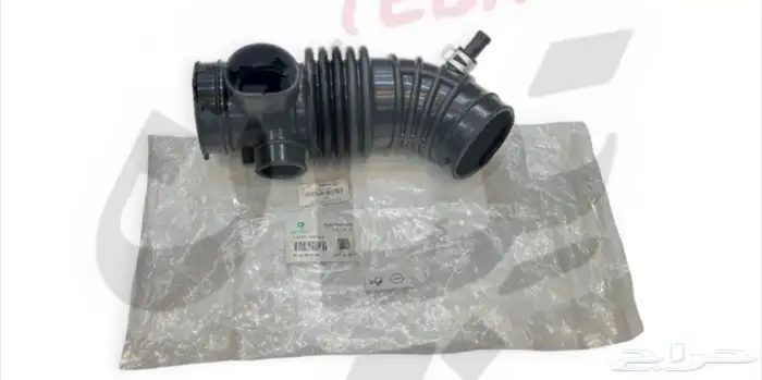 جرجور او خرطوش قربه هوا باثفندر 2005 الى2003 0