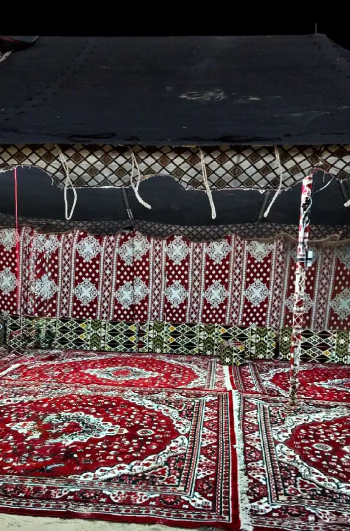 مخيم للاجار بالنعيريه 11