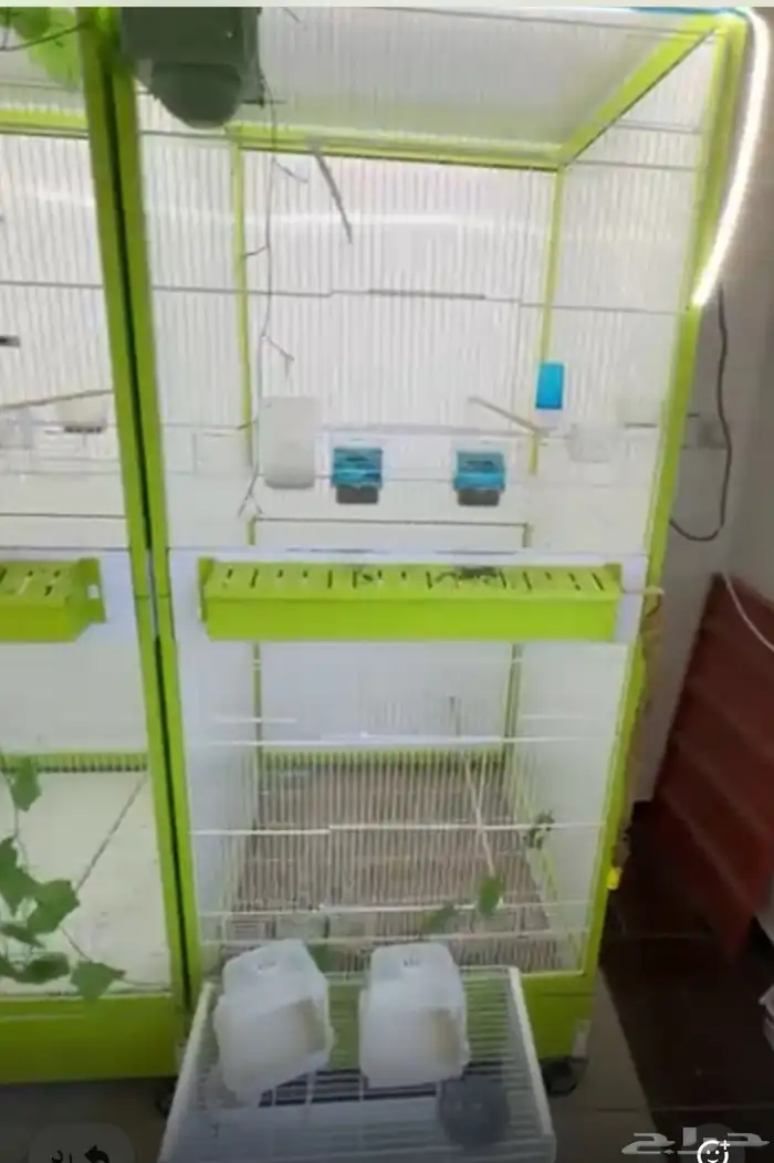 مطير ايتال جابي 0