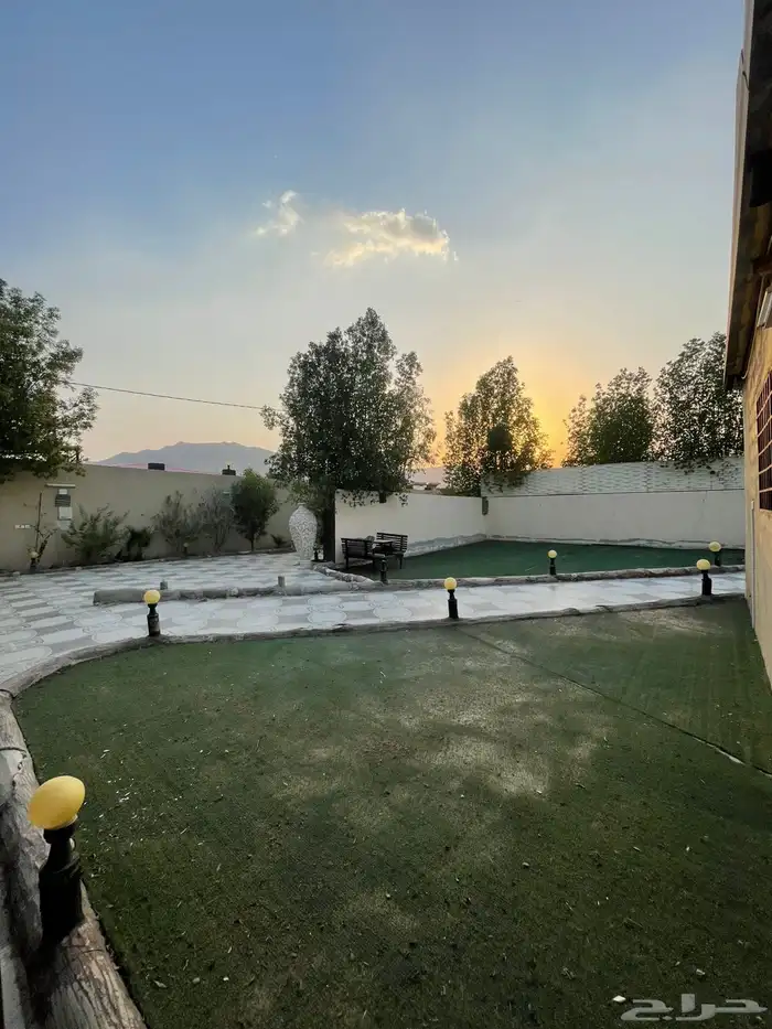 استراحه للبيع في نعمان 11