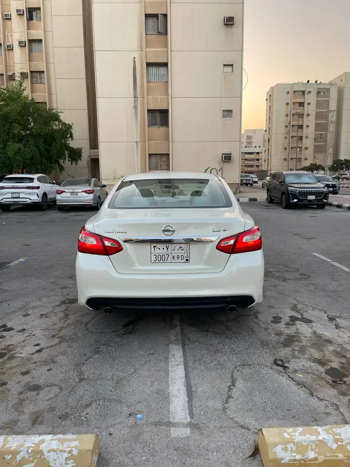 التيما 2017 نص الفل 13