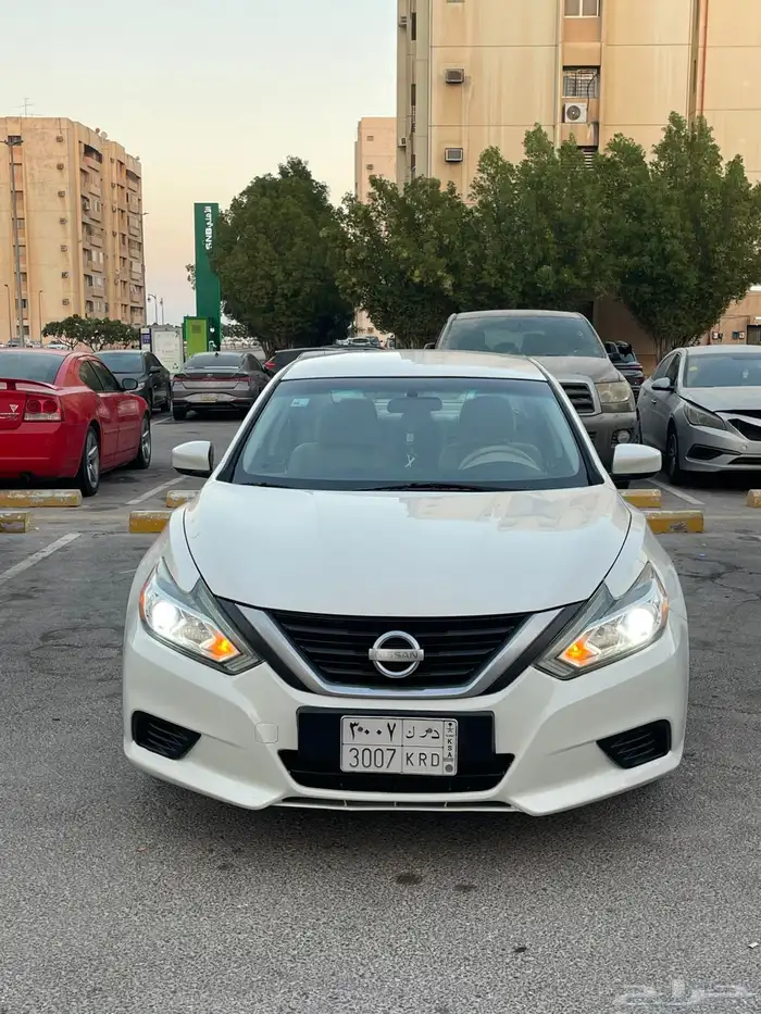 التيما 2017 نص الفل 3