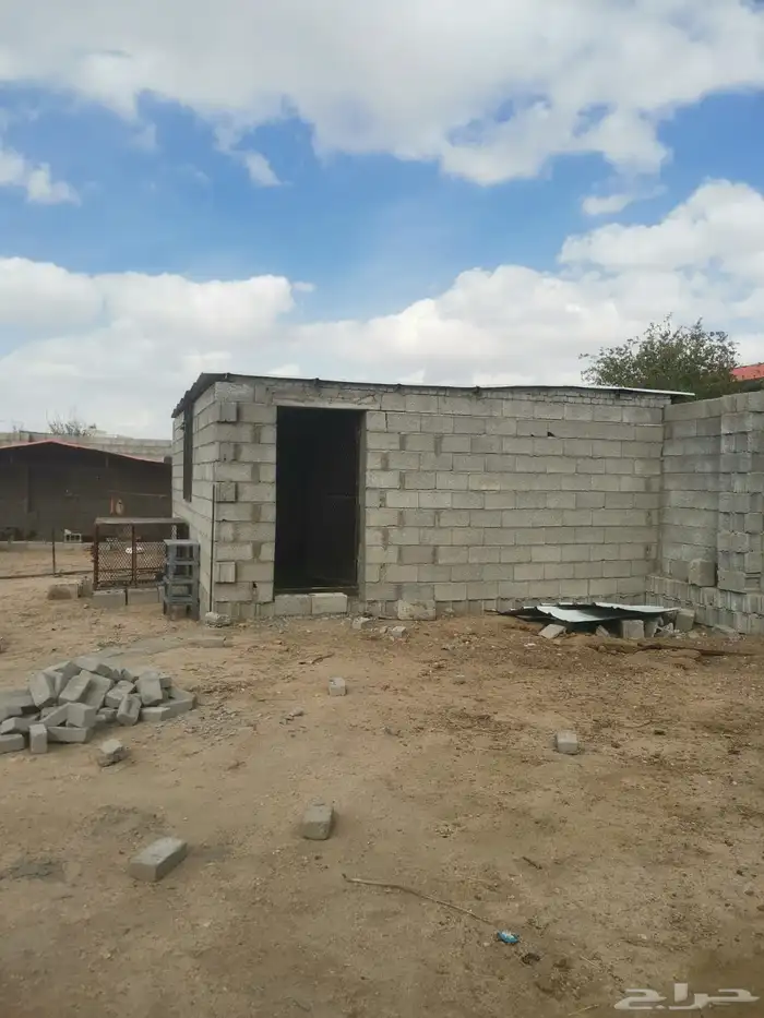 مستلزمات طيور الموقع الرميده 1