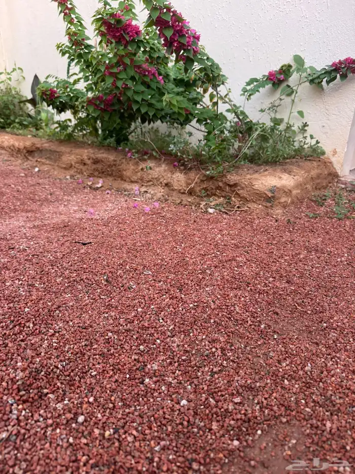 متجر بطحاء طابه الحمراء 5