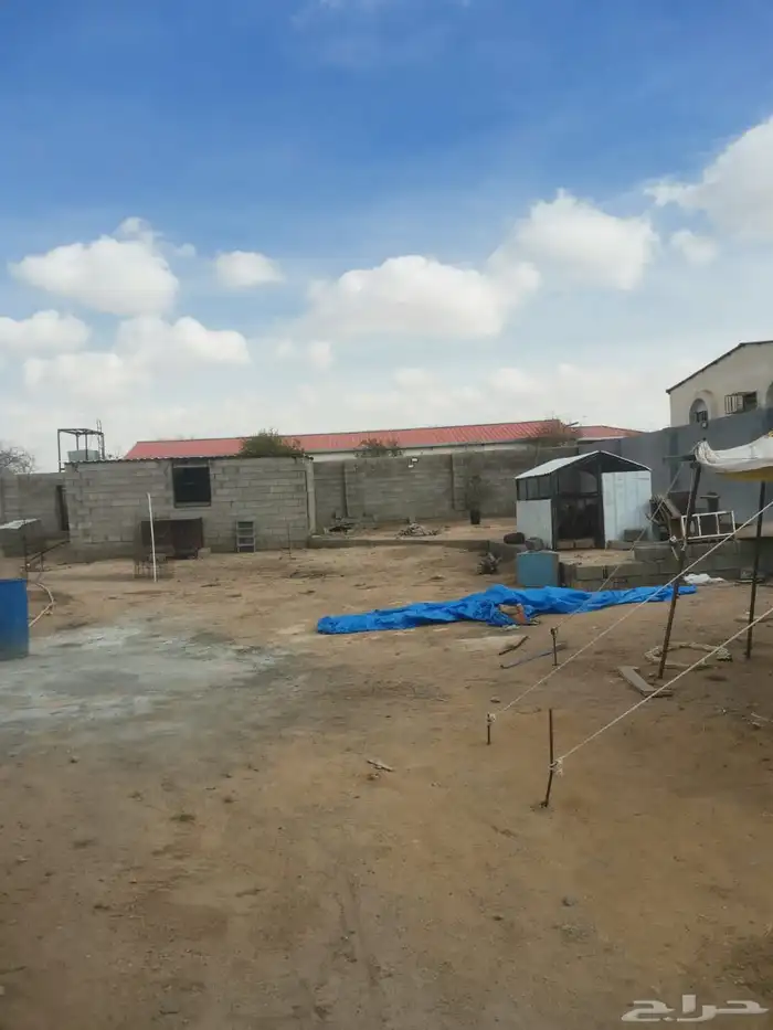 مستلزمات طيور الموقع الرميده 0