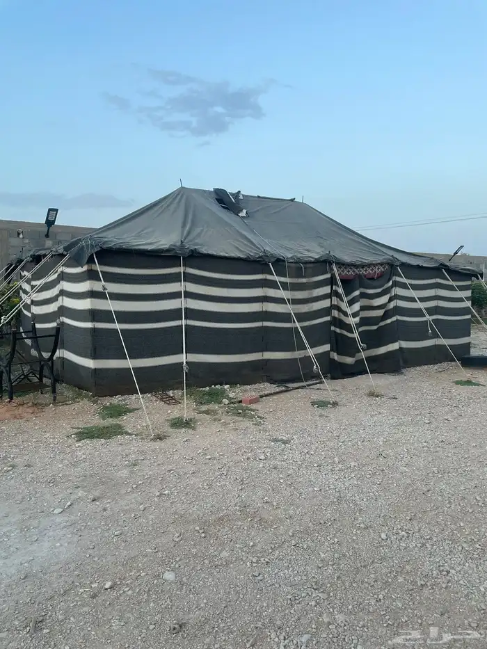 بيت شعر للبيع نظظظيف ( 5 في 11 ) تقريبا 0