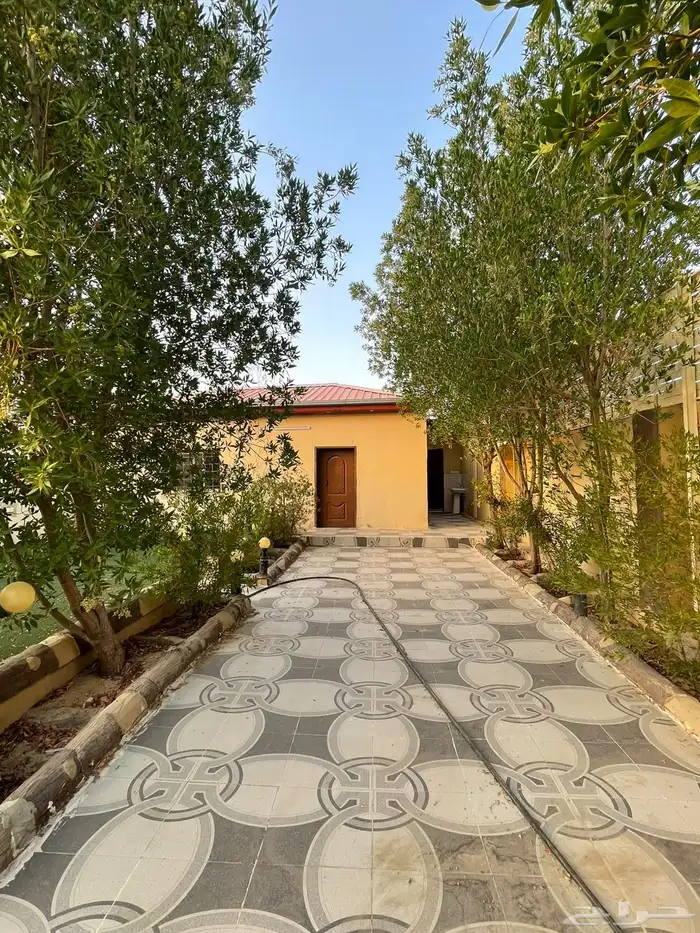 استراحه للبيع في نعمان 6