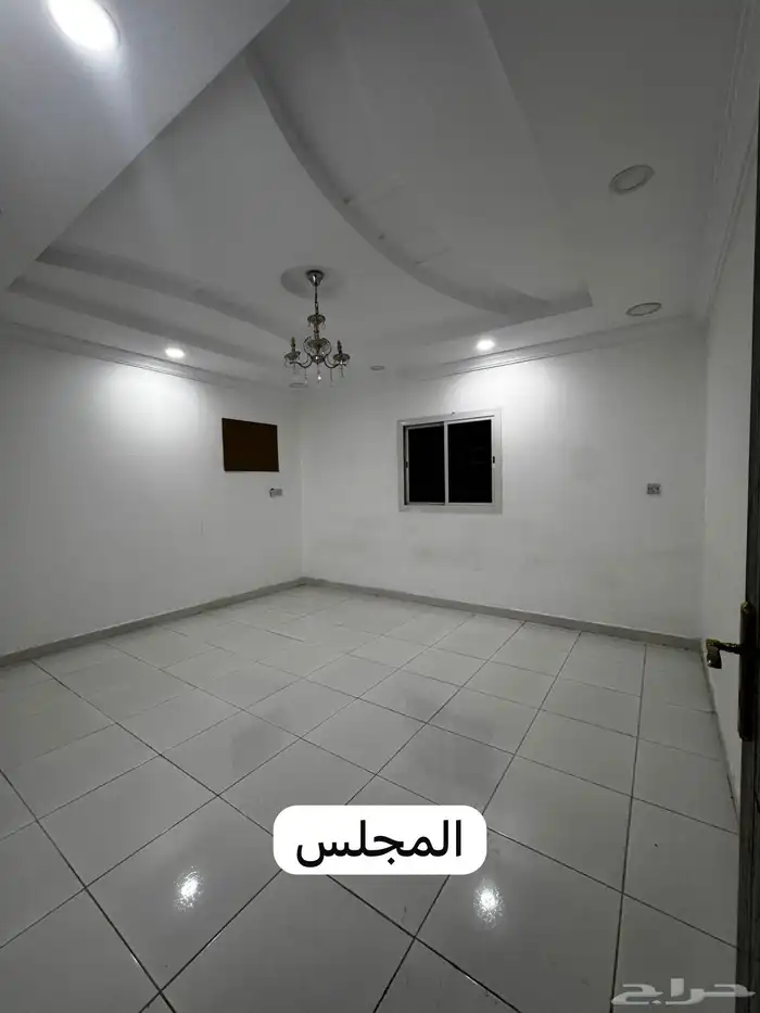 شقه للاجار في الصالحيه 0