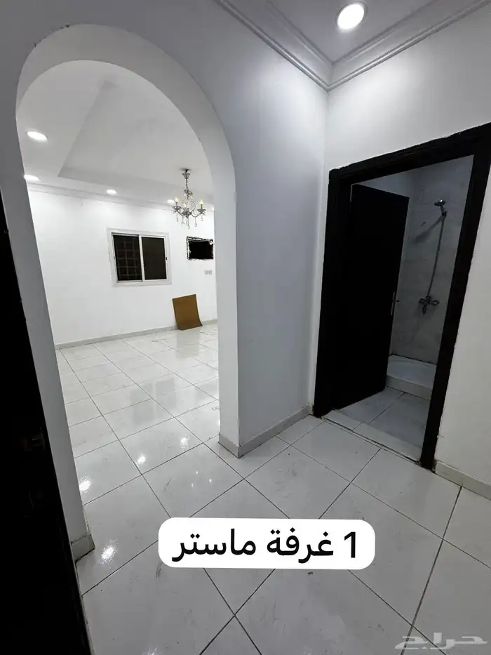 شقه للاجار في الصالحيه 8