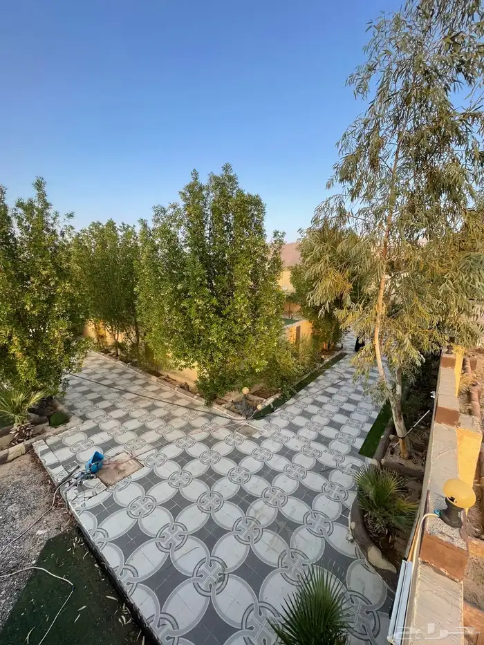 استراحه للبيع في نعمان 2