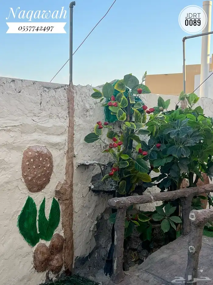 المروة فيلا روف للإيجار بخمسين الف 3