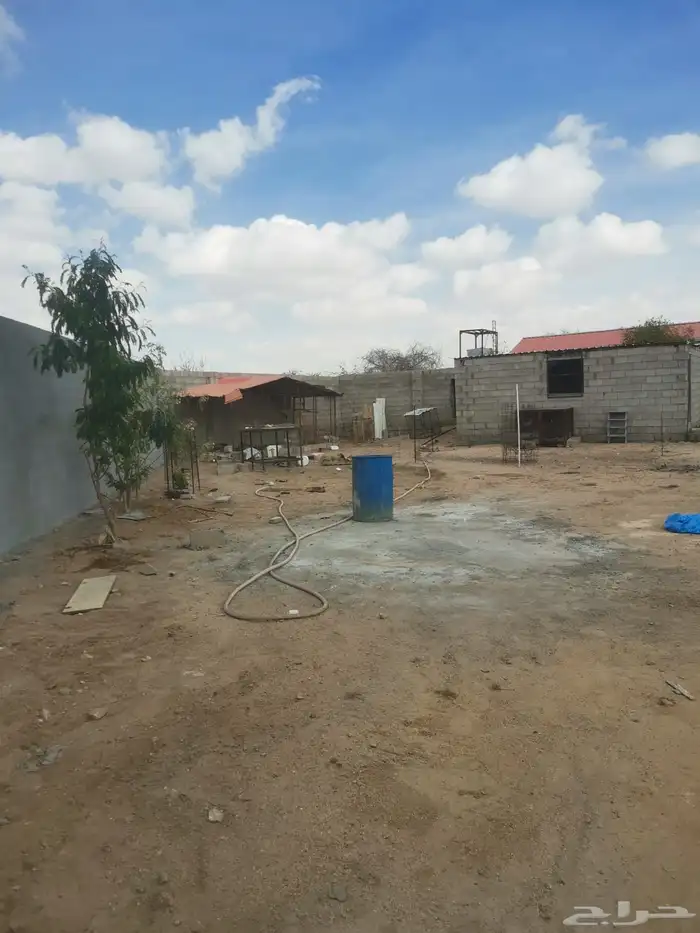 مستلزمات طيور الموقع الرميده 2