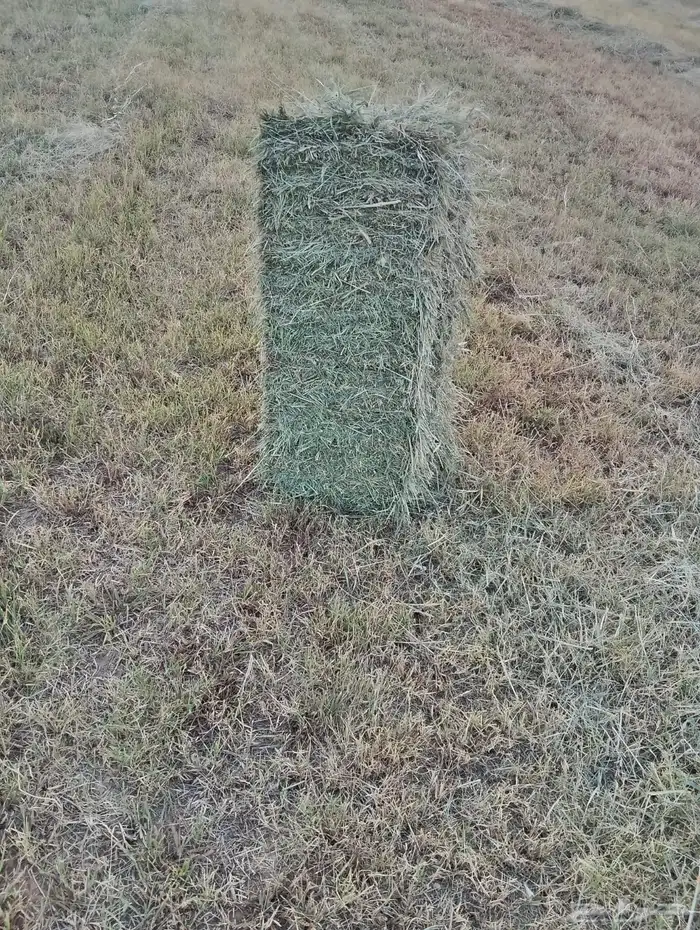 بلوبنك ناعم شد ووزن 0