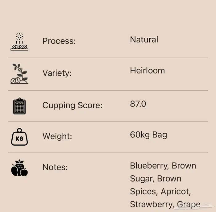 بن اثيوبي قوجي وبن راوندا كيبوكو 3