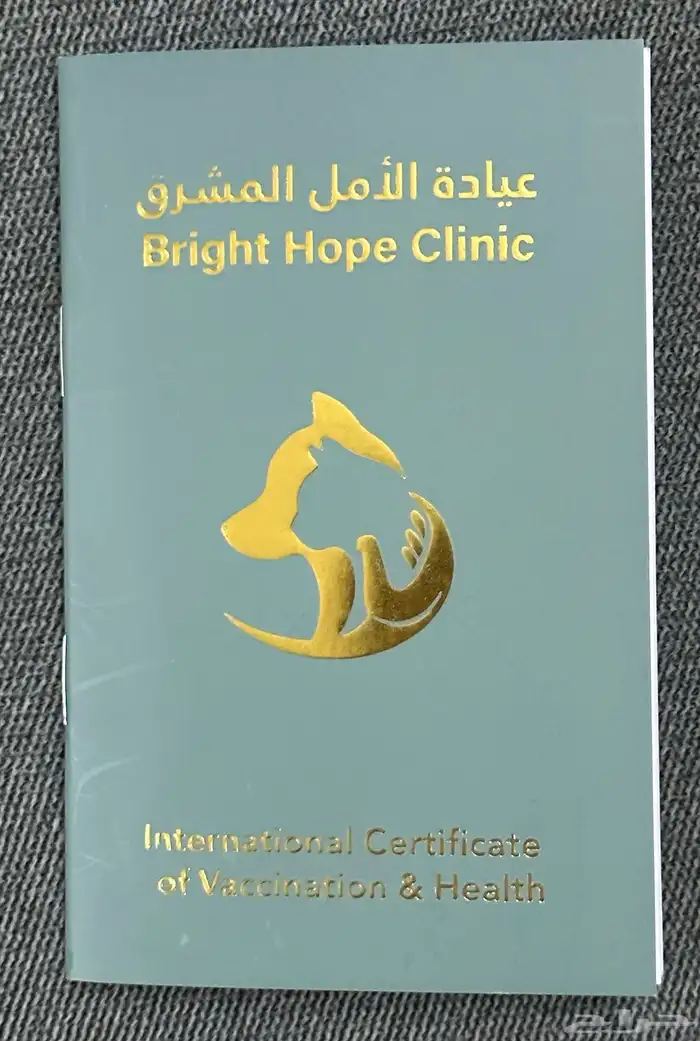 للبيع قط ذكر شيرازي 6