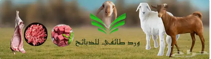 ذبائح بالتقسيط 2