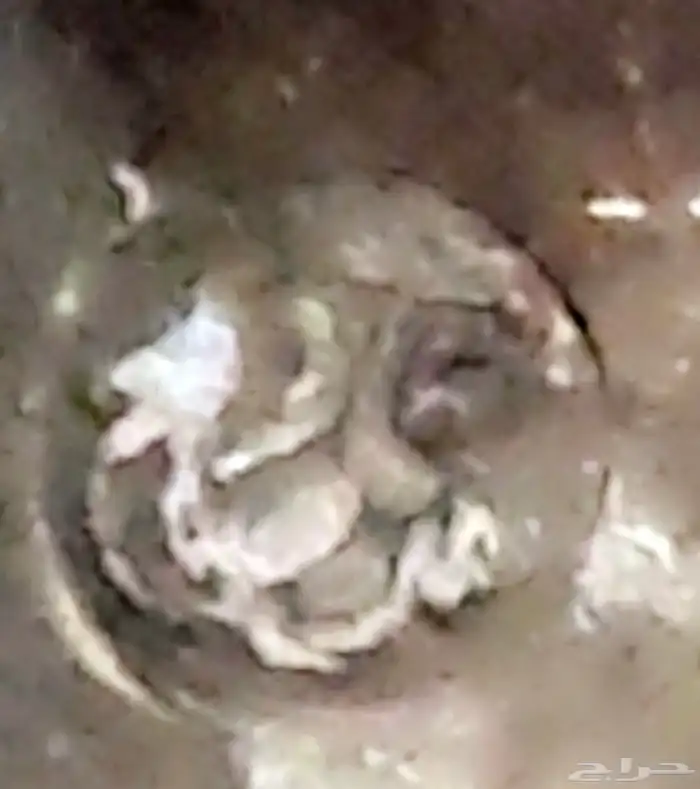 دلال بغدادية خوات ختمهم مهدي صالح 13