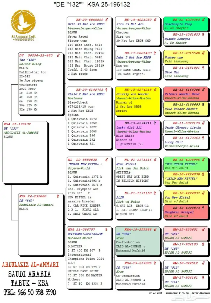 حمام سباق محجلين 2025 10