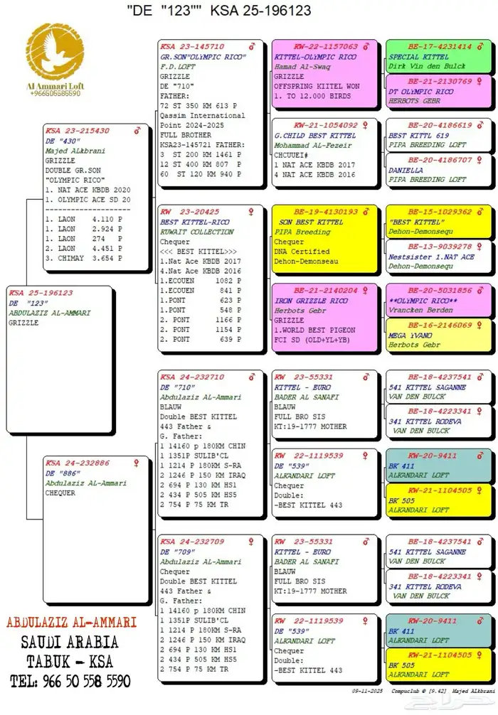 حمام سباق محجلين 2025 6