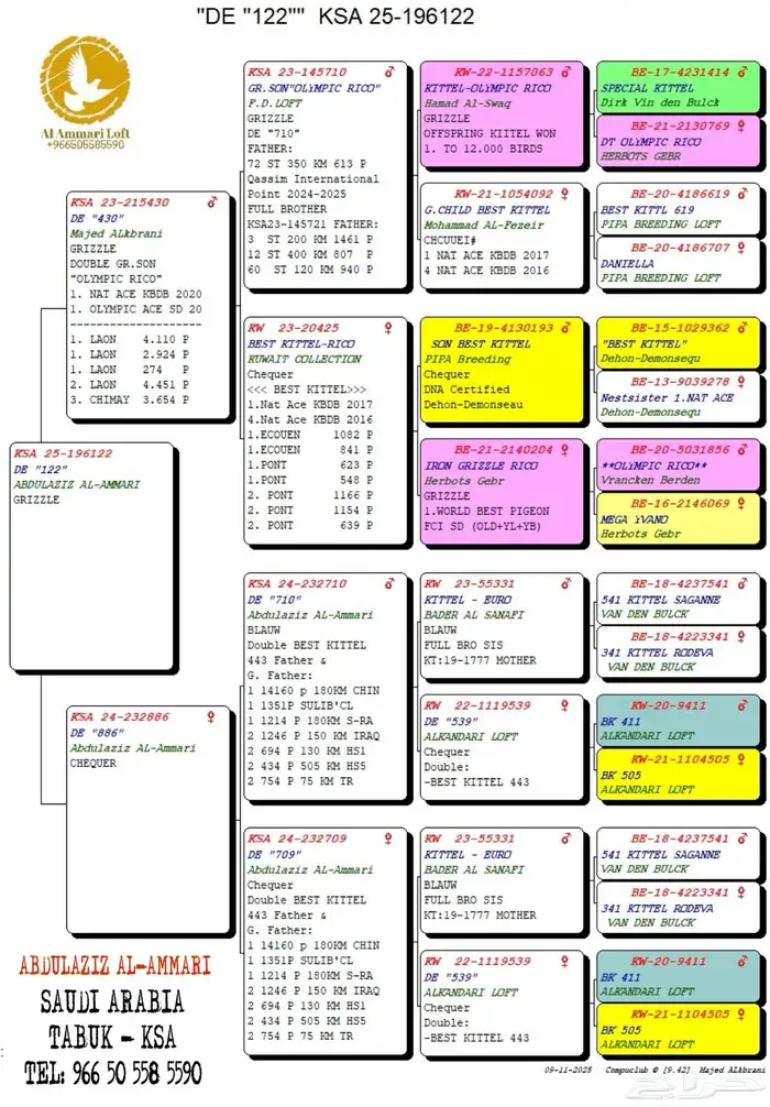 حمام سباق محجلين 2025 4