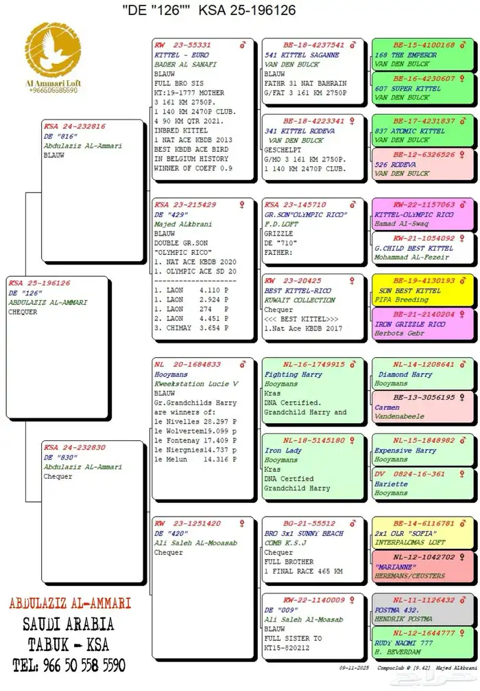 حمام سباق محجلين 2025 2
