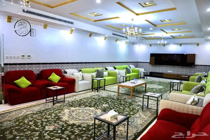 مصور محترف 10