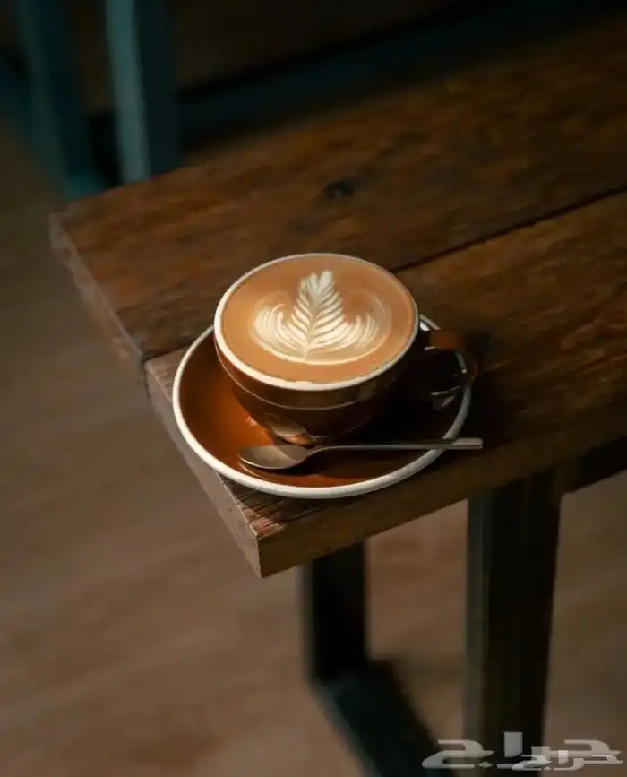 تصوير اطعمه ومشروبات 2