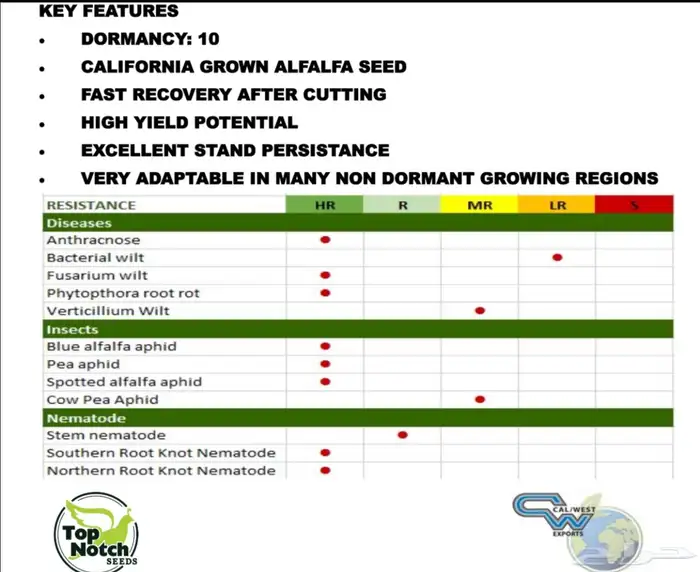 بذور برسيم امريكي مغلف 5