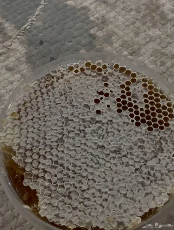 عسل جبال سمرة وسمن معزا صافي ذمه وامانه وبيني وبينكم الله 3