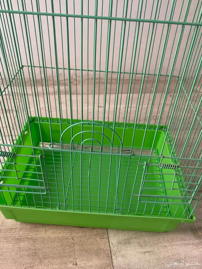 قفص عصافير 4