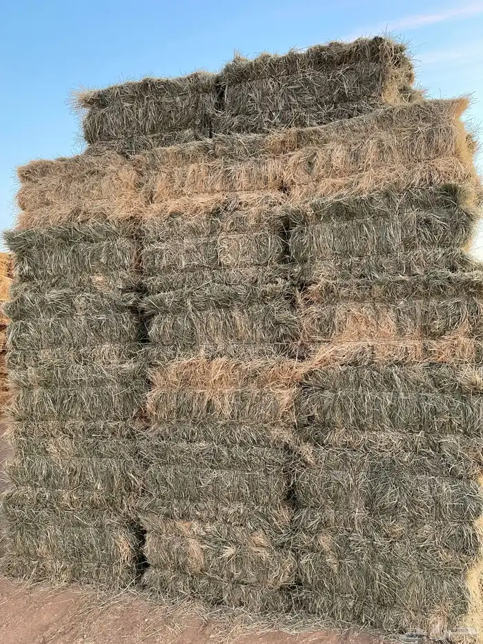 رودس للبيع 2