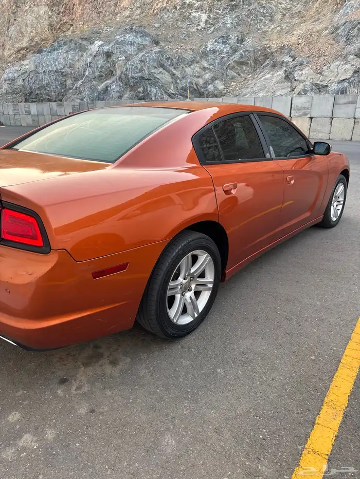 تشارجر 2011 6 سرندل 3