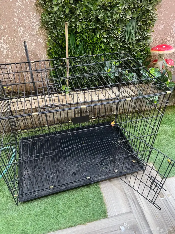 قفص حيونات 2