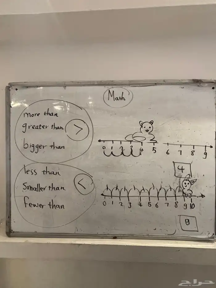 متابعة وتأسيس 12