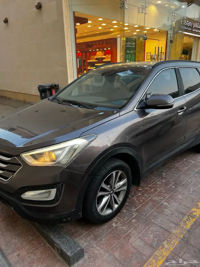 سنتافي 2016 21