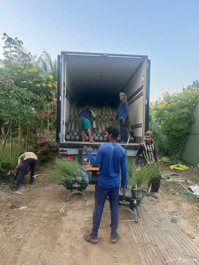 مشتل زراعي لبيع الاشجار بالجملة 6