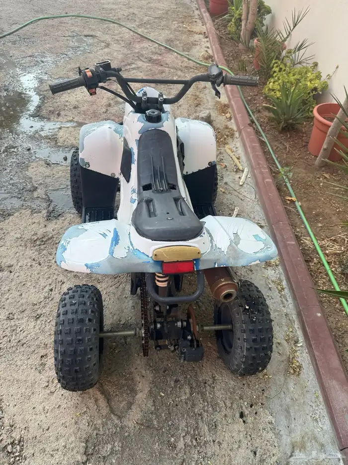 دباب صيني حجم 70 0