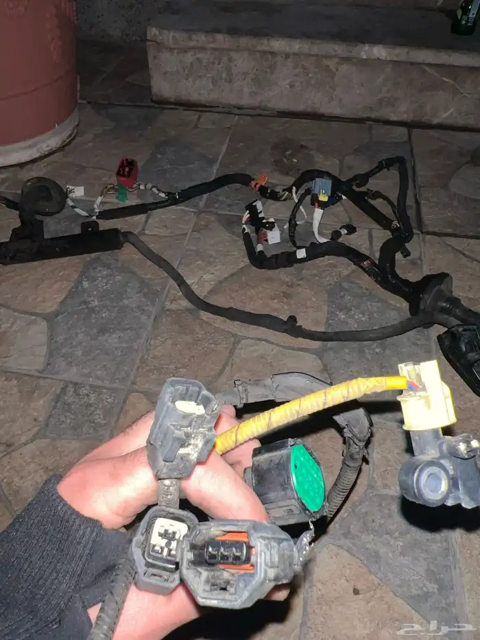 ضفيره ازيرا2018 6