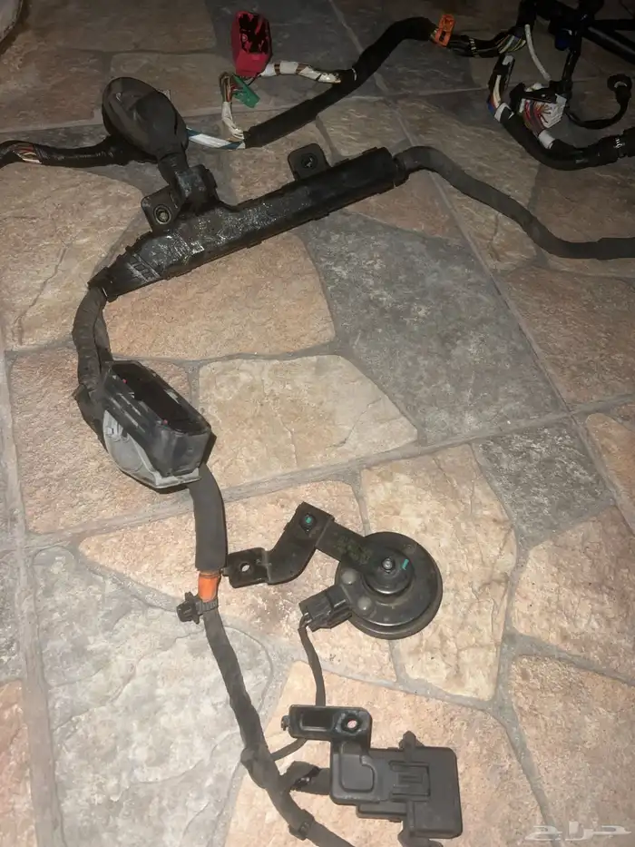 ضفيره ازيرا2018 7