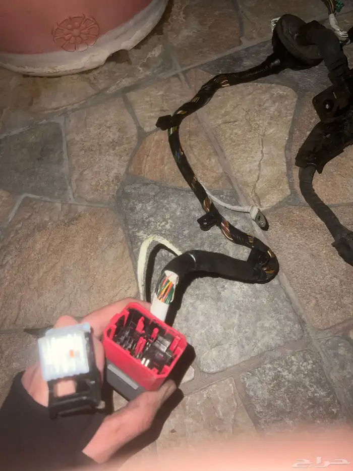 ضفيره ازيرا2018 8