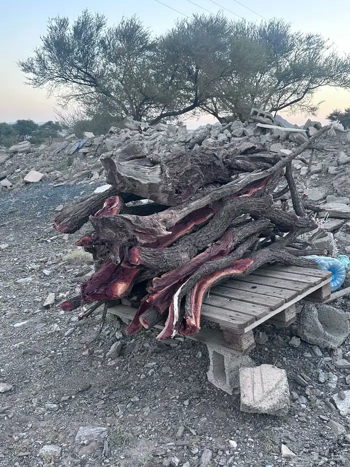 حطب قرض للبيع الموقع عاكفه 2