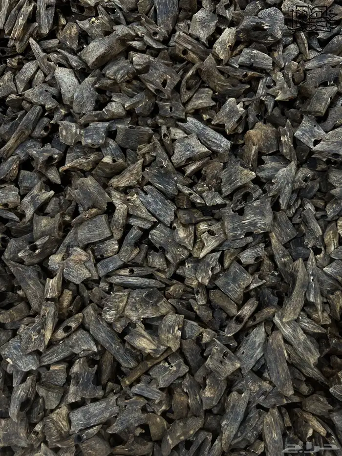 عود صيني كينام دبل وتربل سوبر طبيعي 2