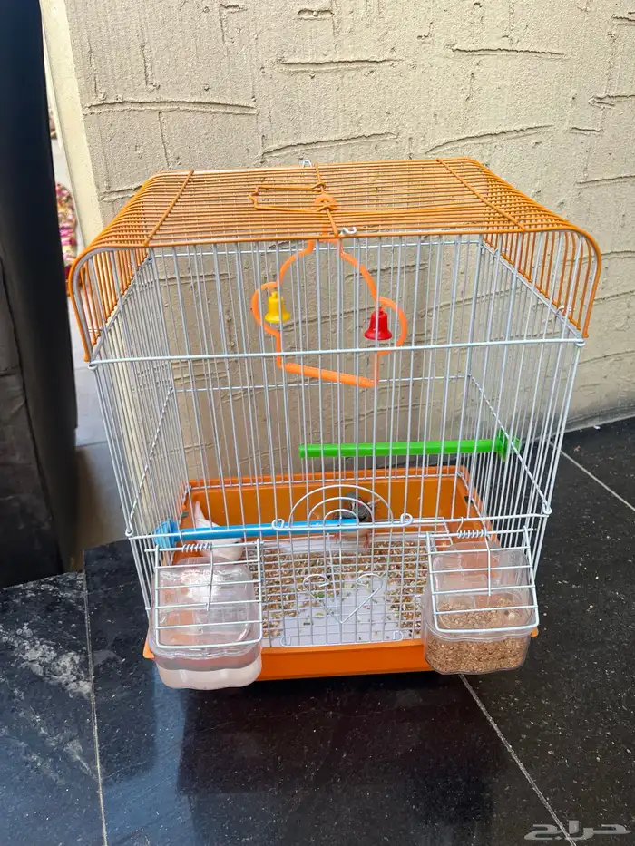 عصافير زينه للبيع 0