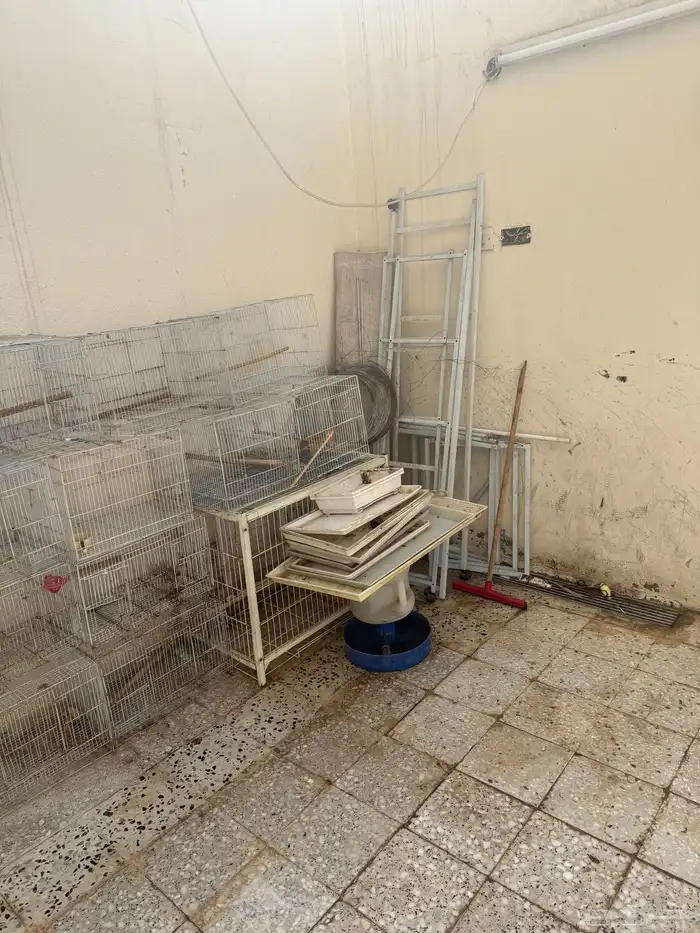 اقفاص وبياضات مستعمله للبيع 2