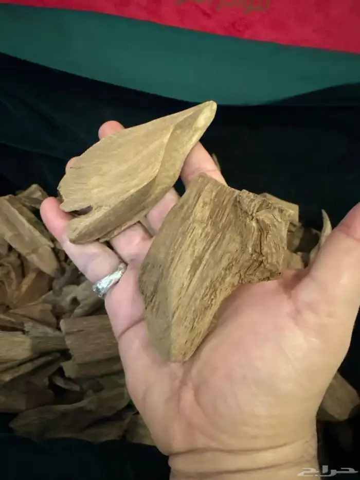 عود مروكي أصقون طبيعي 100  100 1