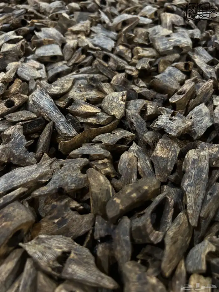 عود صيني كينام دبل وتربل سوبر طبيعي 0